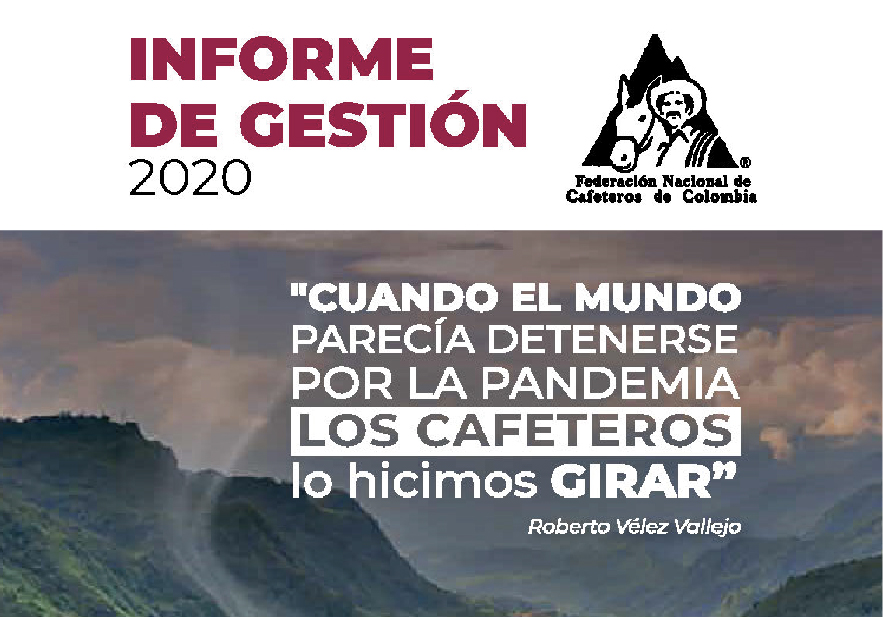 Informe de Gestión 2020