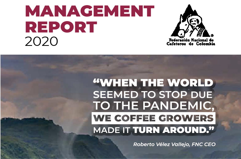 Managemente Report 2020