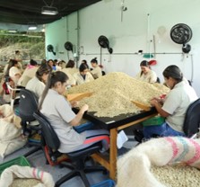 Federación Nacional de Cafeteros de Colombia FNC