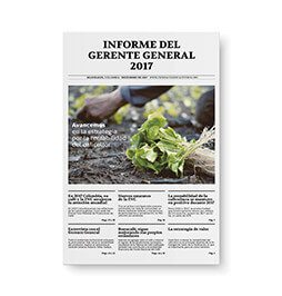 Informe de gestión 2017